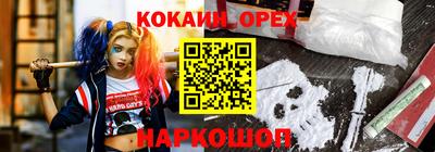 меф Кингисепп