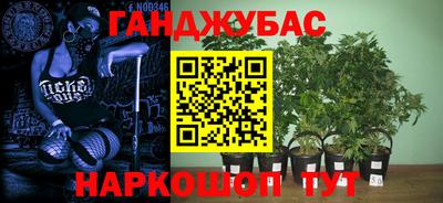 меф Кингисепп