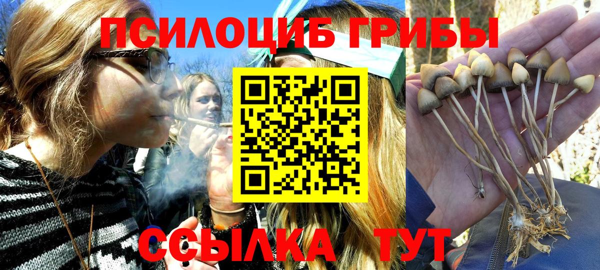 Псилоцибиновые грибы MAGIC MUSHROOMS  Вход с VPN  Дюртюли  Псилоцибиновые грибы Psilocybe 